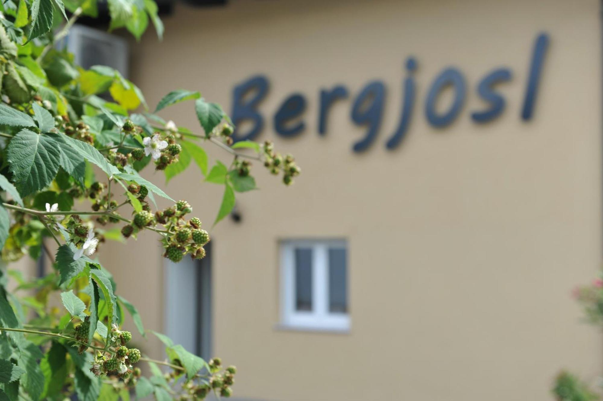 Beim Bergjosl Apartman Kirchbach in Steiermark Kültér fotó