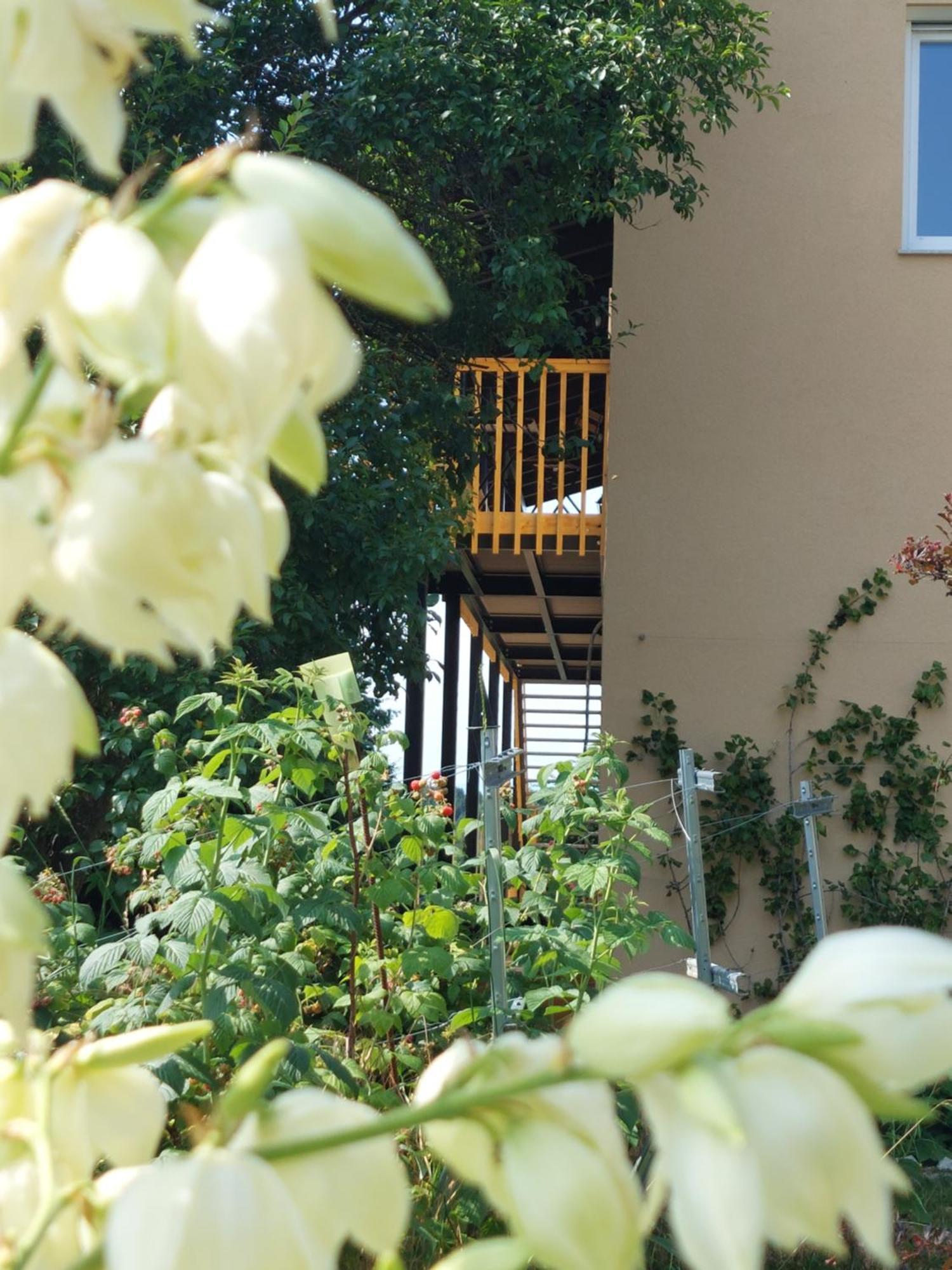 Beim Bergjosl Apartman Kirchbach in Steiermark Kültér fotó